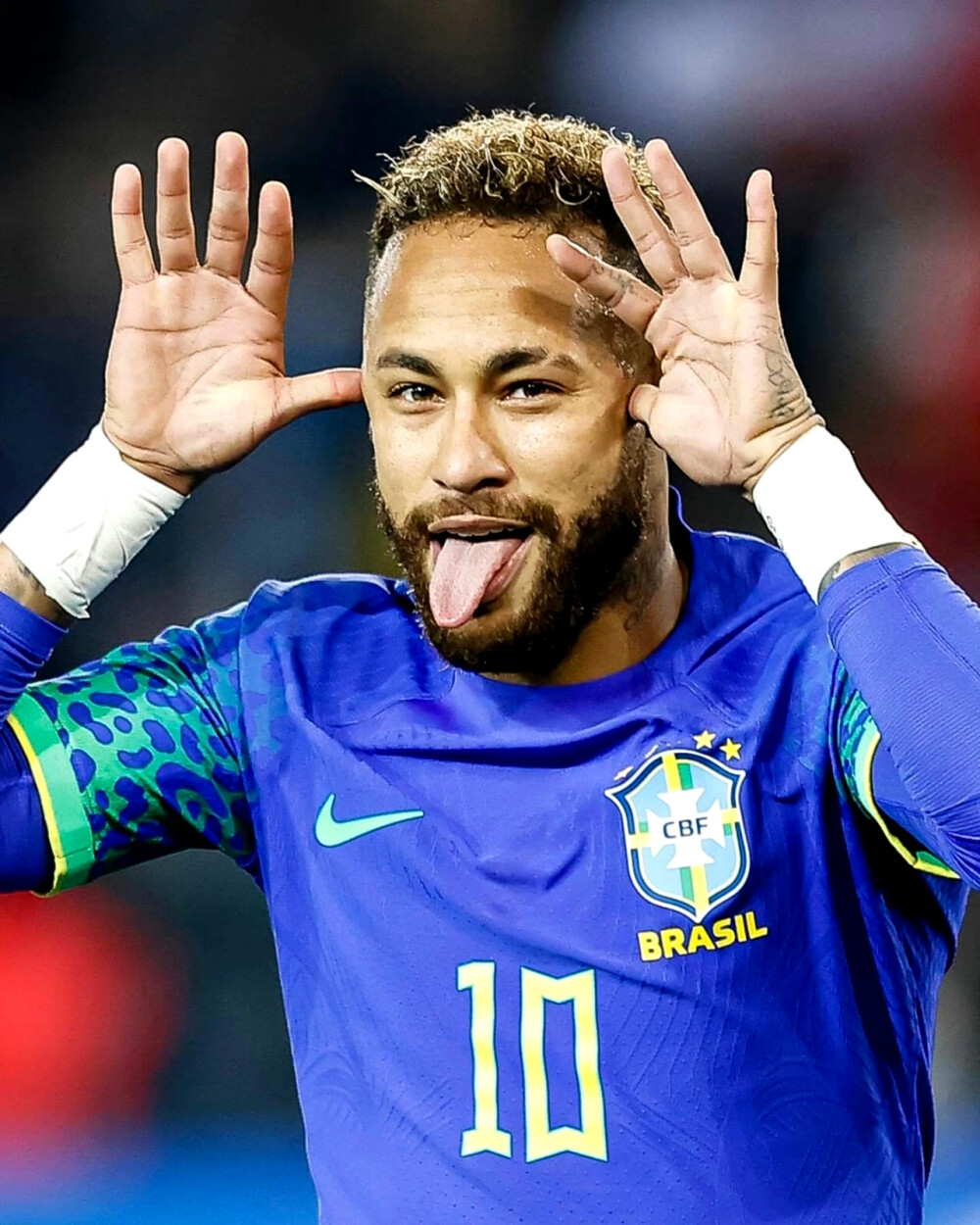 德劳内杯 德劳内杯